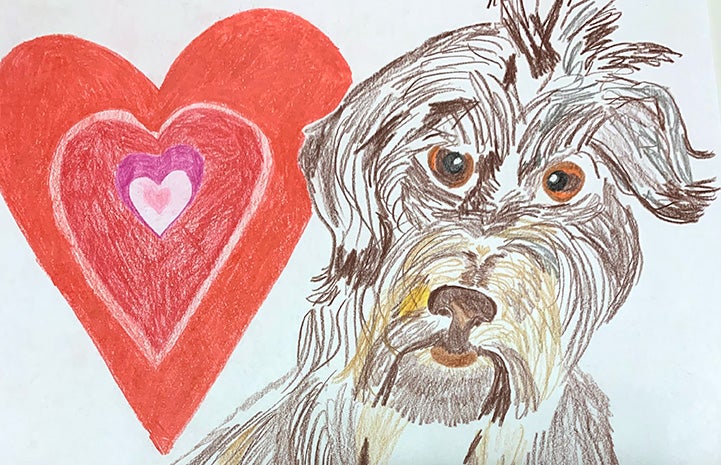 Painting of fluffy brown dog next to a heart