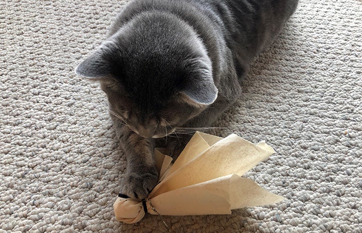 Cat playing with a homemade toy that looks like a ghost