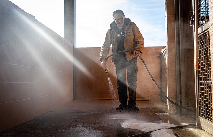 Steven the Dogtown caregiver hosing down the floor to clean it with sunlight streaming in from a window
