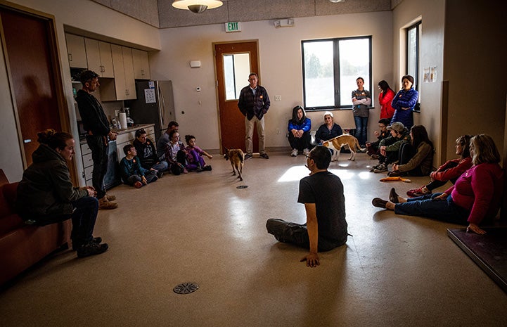 Group of people sitting on the floor with a couple puppies as part of puppy preschool