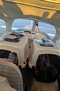 Animals being transported in kennels on the Pilots N Paws flight