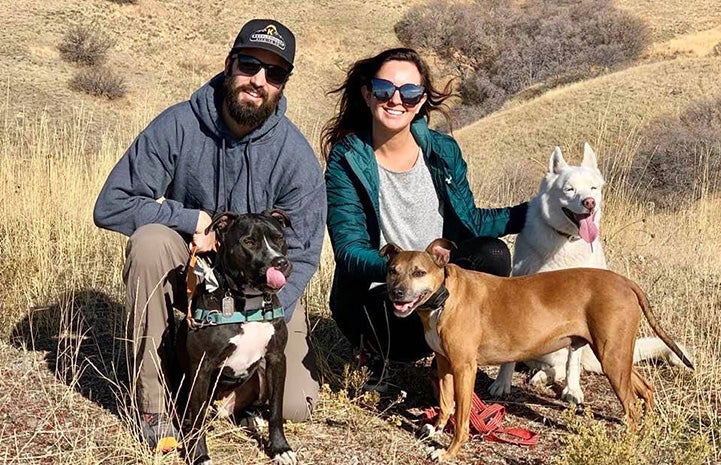 Patrick the dog with his family, including a woman, man and two other dogs, outside in a field of dried grass