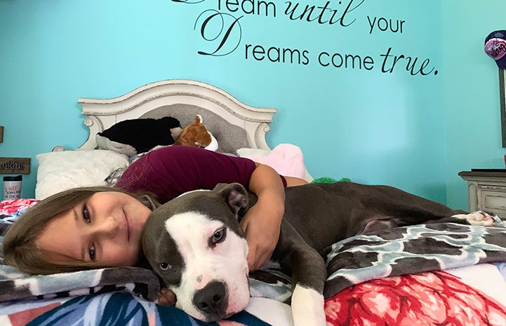 Roxy the dog lying in bed with a young girl with the words "Dream until your dreams come true" written on the wall behind them