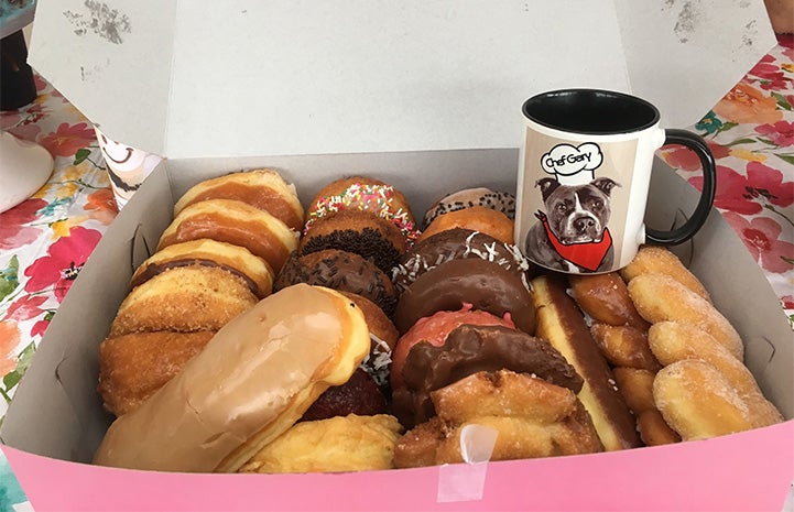 Coffee mug featuring Gary the dog's face in a box of donuts