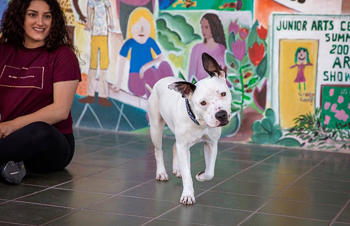 Meg Sedrakyan sitting on the ground with Boo the dog in front of a painted mural