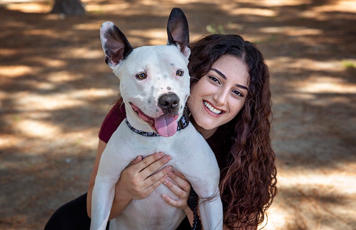 Boo the pit bull terrier being hugged and held by Meg Sedrakyan