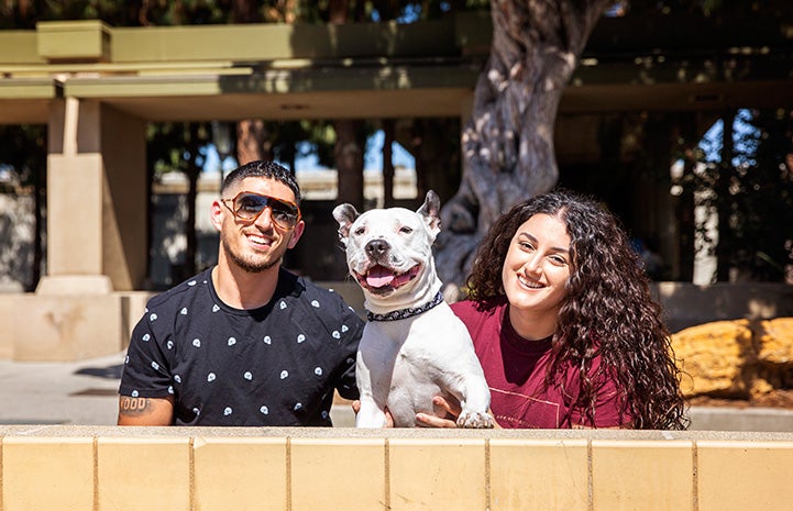 Boo the pit bull terrier with his adopters, Meg and Eric Sedrakyan, behind a small wall in front of a tree and building