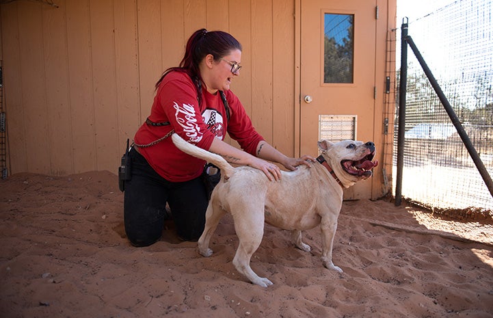 Woma petting Calvin the dog's back