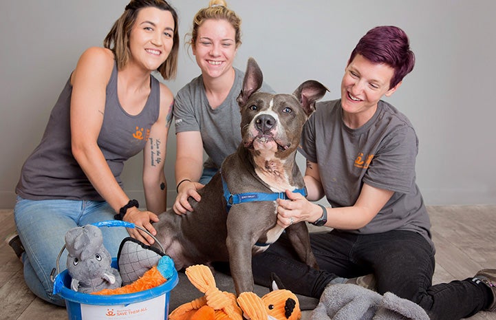 Tyson the dog with three women, a bucket with his list and lots of toys