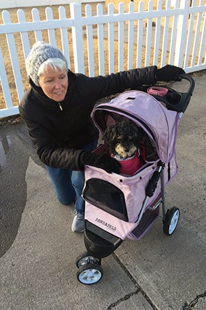 Woman next to Angelina the poodle in a stoller