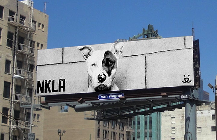 Billboard featuring black and white photo of Jewel the dog
