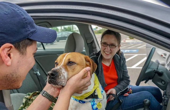 Person showing affection for a dog in the side passenger seat of a car