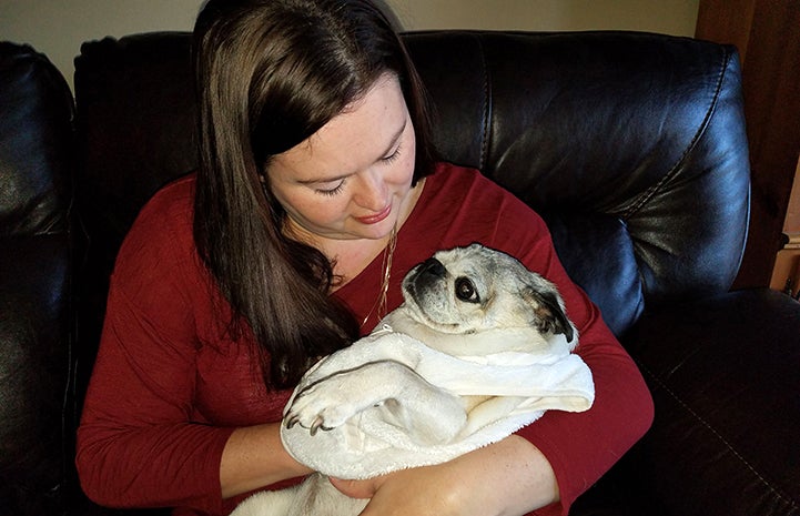 Brandy Rocchio cradling Piper the pug in her arms like a baby