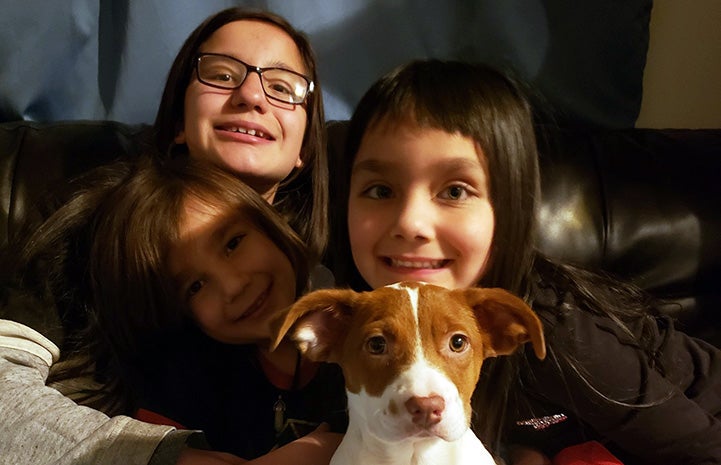 Rosie the puppy with three smiling children