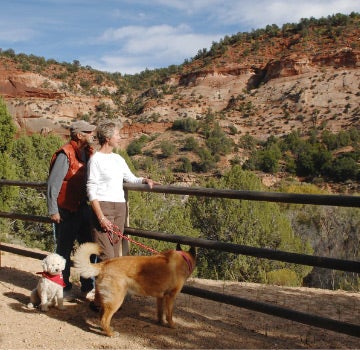 Family at scenic overlook in Angel Canyon