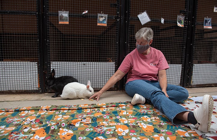 Person sitting in the hallway of Bunny House with two rabbits