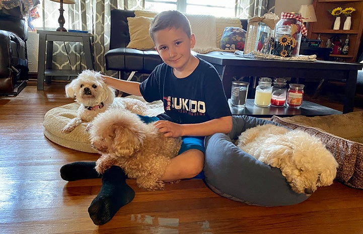 Robbie Gay sitting on the floor surrounded by three fluffy little dogs