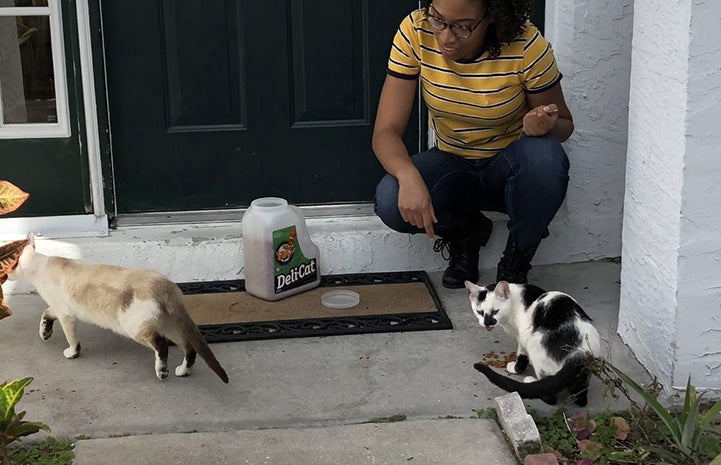 Person sitting on a step with a container of cat food and two cats