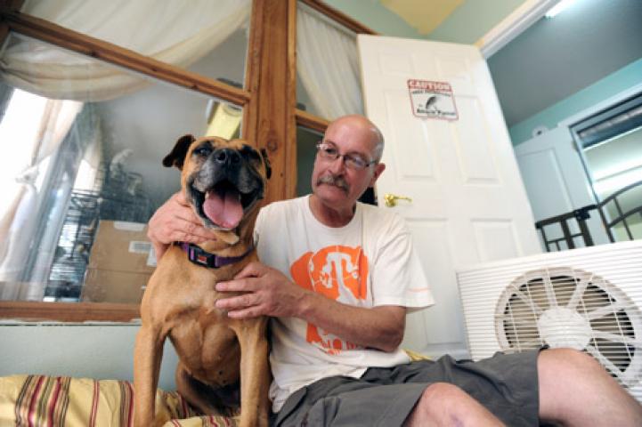 Layla, a dog from the Vick dogfighting ring bust