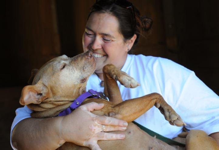 Good Citizens in the making. Little Red, a Vick dog, learns to accept and return lots of love.