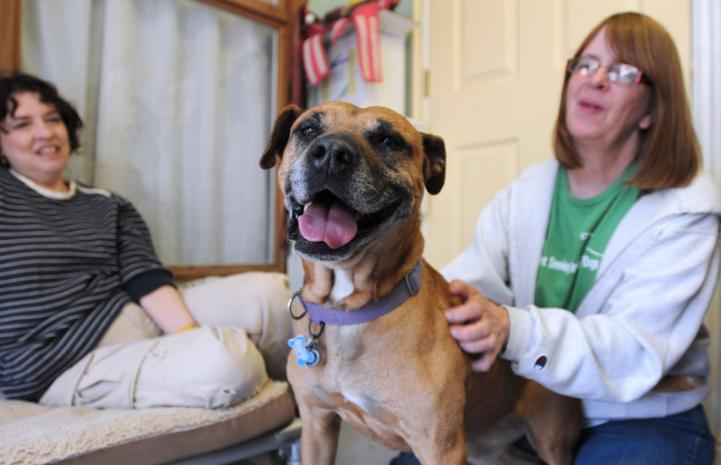 Layla the Vicktory dog with Tamara and Jacque