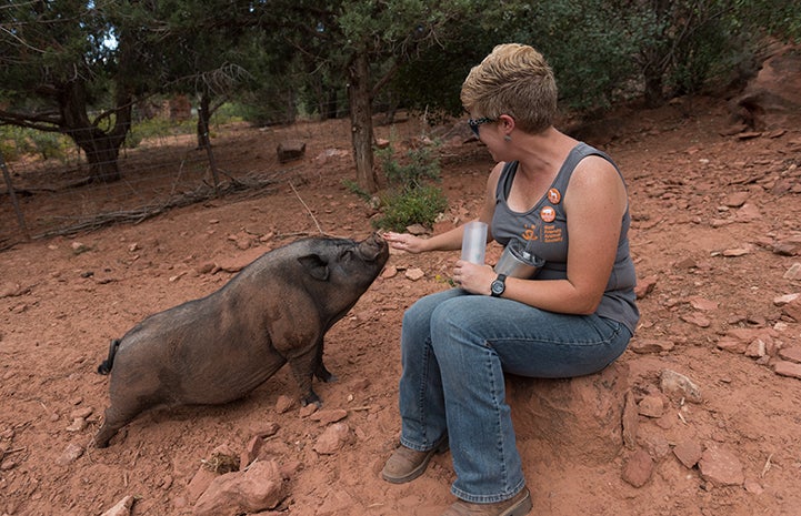 Smitty the pig with caregiver Marti