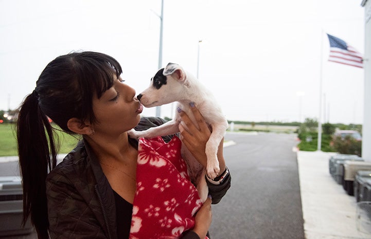 Woman holding up a small dog and kitting him