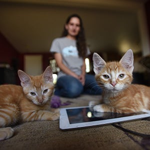 Two orange tabby kittens on an iPad with a woman behind them