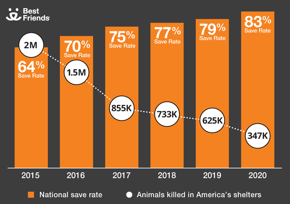 animal save rate by year