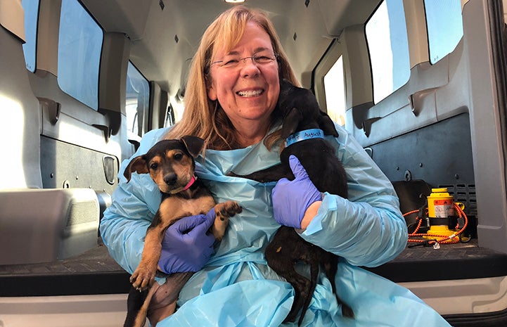 Smiling woman in a protective gown holding two puppies