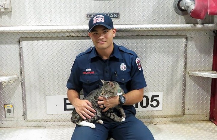 Animal control officer with a tabby in his lap