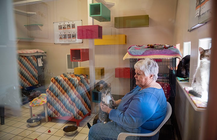 Looking through a window at Pan the cat on a woman's lap who is sitting in a chair