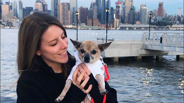 Woman holding Griff the senior Chihuahua in front of some water and building of New York City