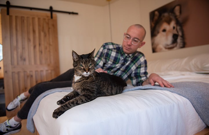 Michael Cox lying on a bed and petting Wilbur the cat