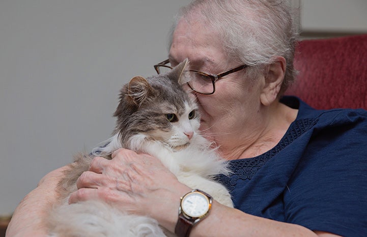 Sweet Pea, the medium hair gray and white cat, getting kissed by Marjory the woman who adopted her