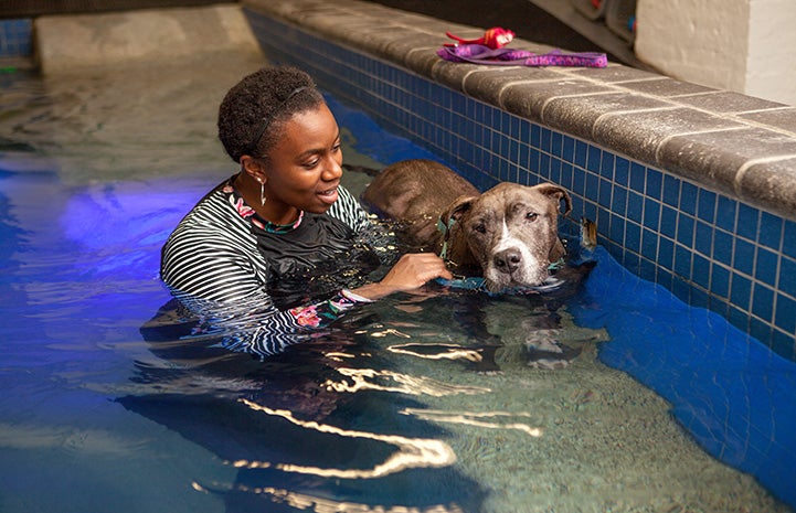 Sheena the dog in the water with a woman receiving hydrotherapy 