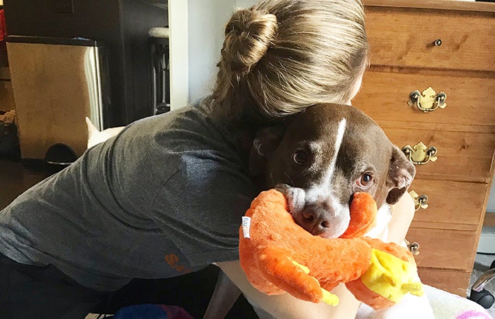 Woman hugging Suki the dog who is holding an orange stuffed toy in her mouth