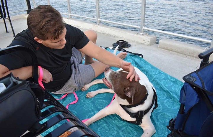 Suki the dog on a boat with a man