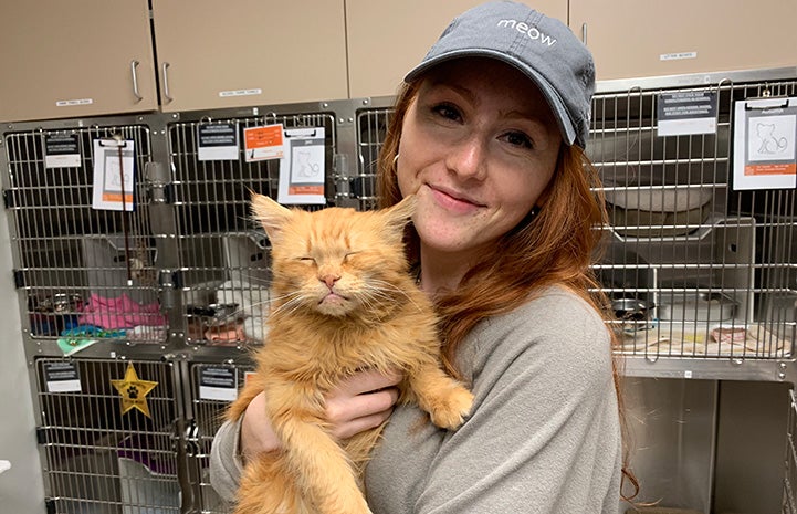 Lauren Green adopting Peaches the senior orange cat