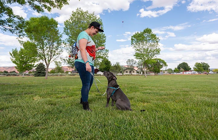 Chunk the dog sitting at the direction of Gherri, his new person