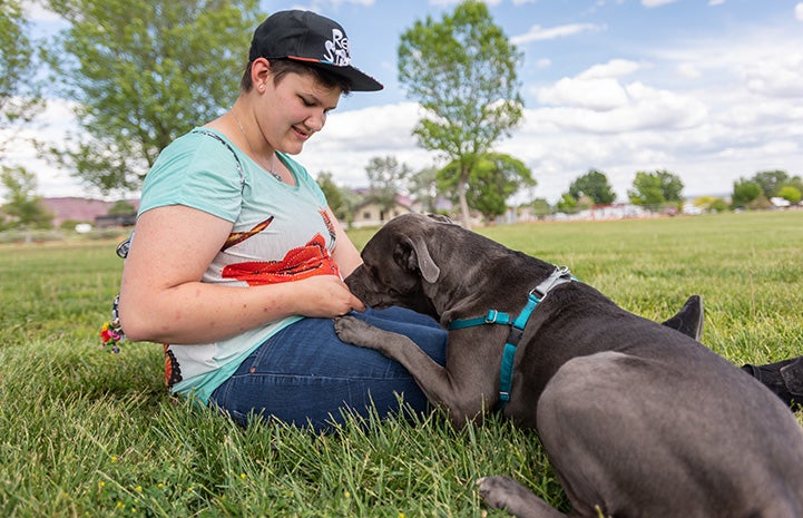 Chunk the dog sniffing at the lap of a woman sitting in the grass