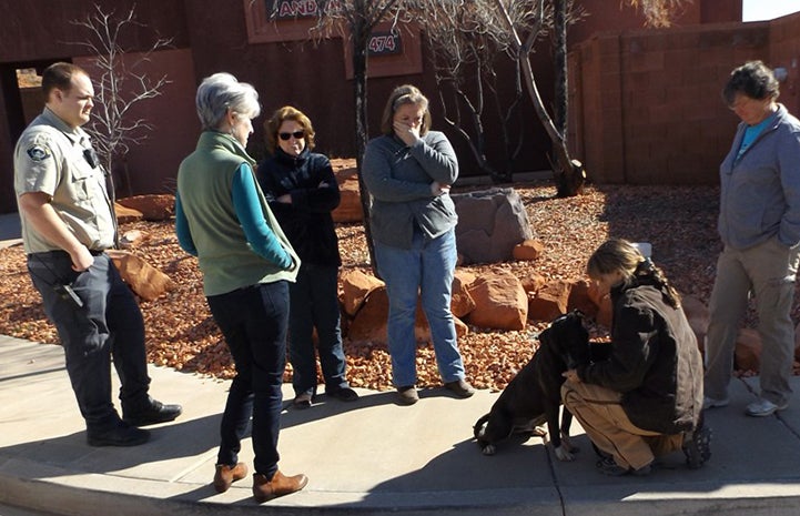 Group of people all centered around a black dog who is undergoing training