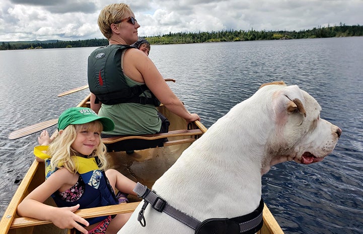 Doc the white dog in a boat with his new family
