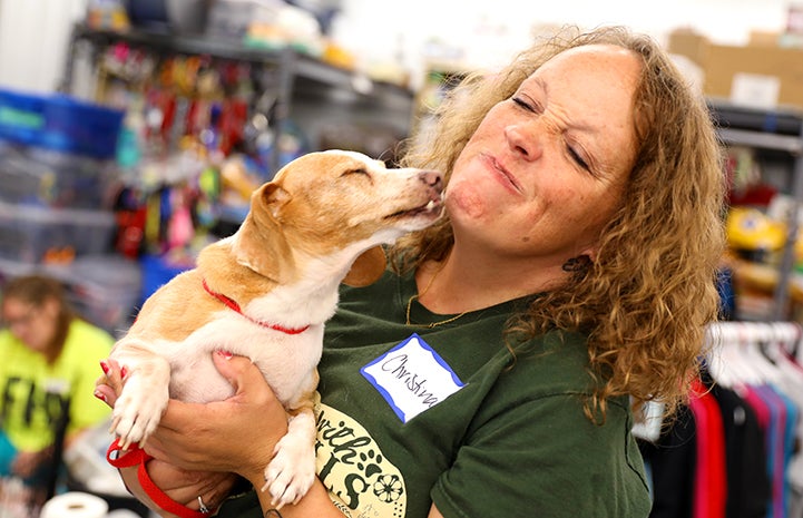 Woman wearing a nametag, holding a small tan and white dog who is kissing her face