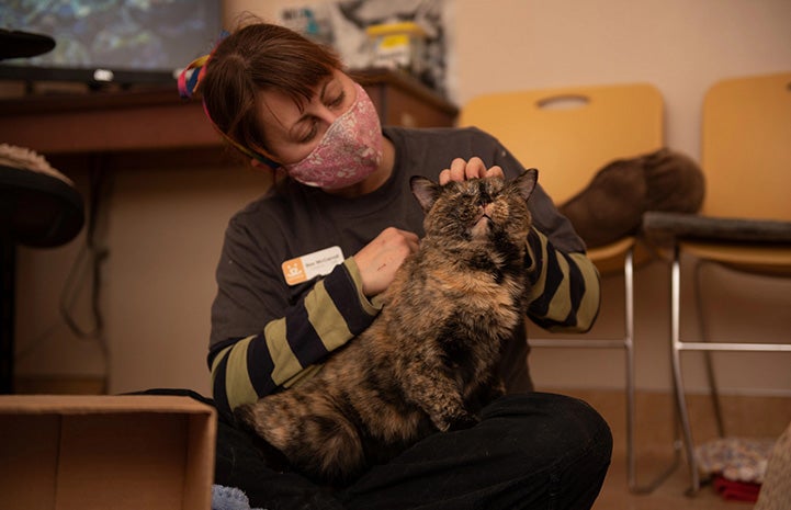 Woman petting Everest the tortoiseshell cat in her lap