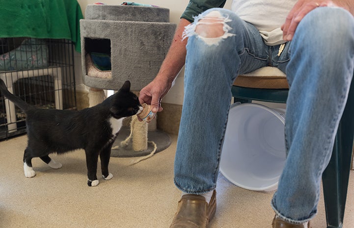 Luigi taking some baby food from caregiver Mike's fingers