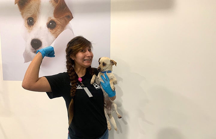 Yobeli Banda holding a strength pose with her arm and holding puppy in her other arm at Palm Valley Animal Center (PVAC)