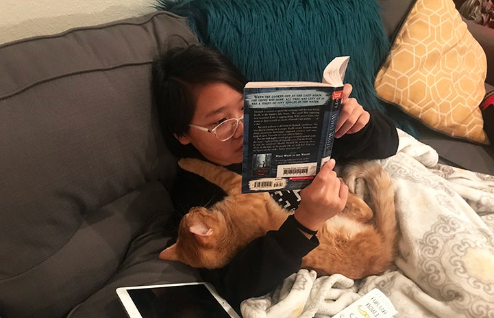 Dan the orange cat snuggling on the couch with a young girl who's reading