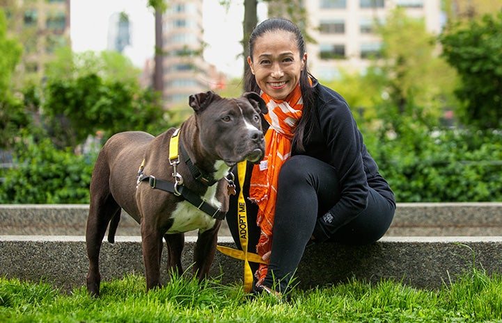 Volunteer Hiromi Nobata sitting next to a brown and white pit bull terrier type dog while out on a walk