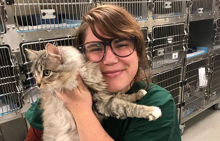 Woman holding a tabby cat in front of some kennels